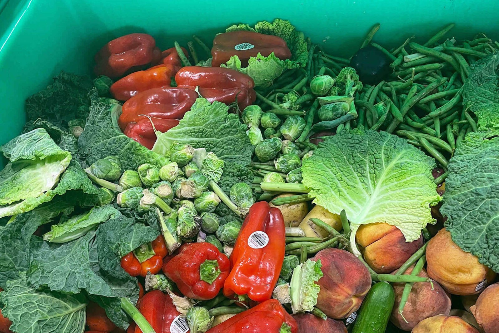 food-waste_mobile food-waste_mobile